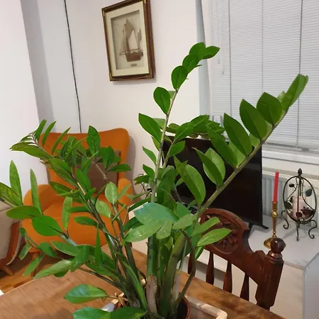 In Area- Debar Maalo Apartament